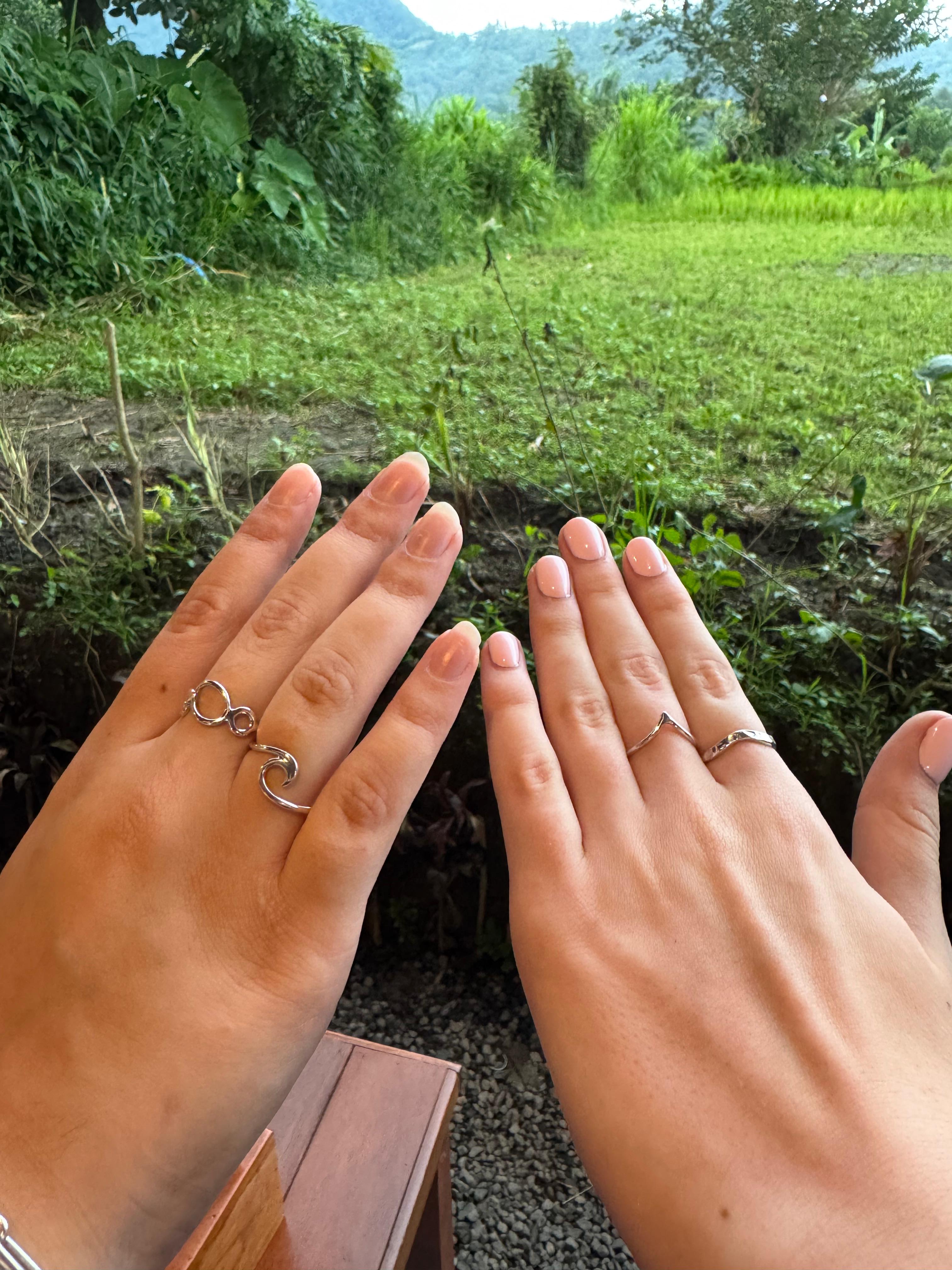 Description of image 3